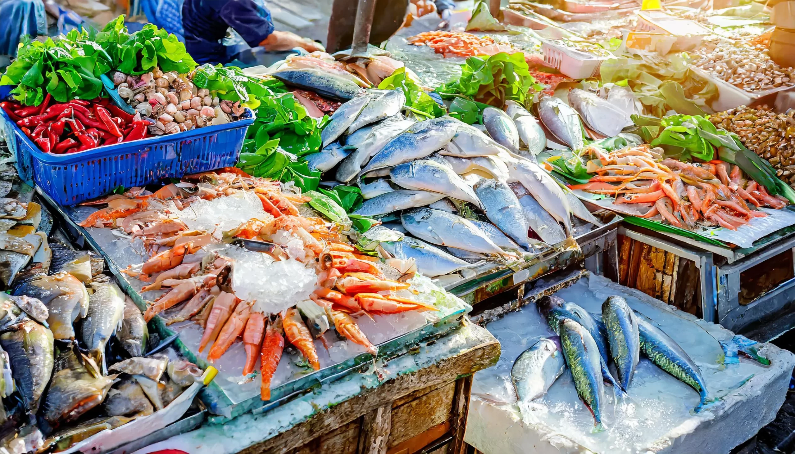 海の幸を楽しもう!春の旬ならではの魚介類